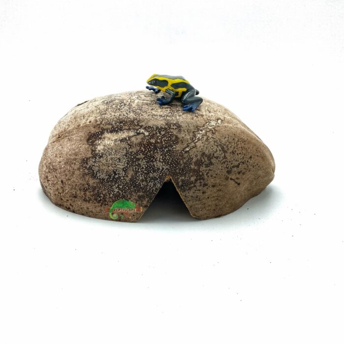 Reptiscape Half Coconut Hide Out with Husk for Terrariums