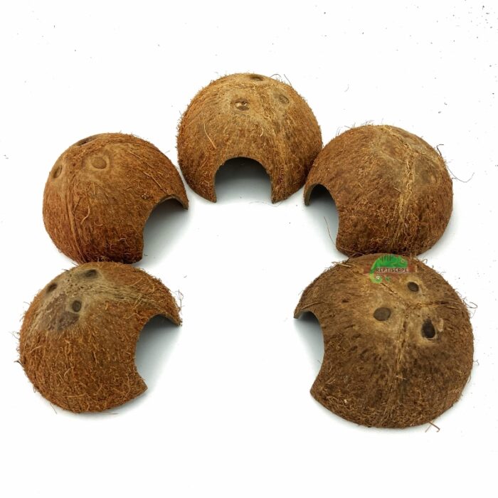 Reptiscape Half Coconut Hut - Coco Hut 5 pack