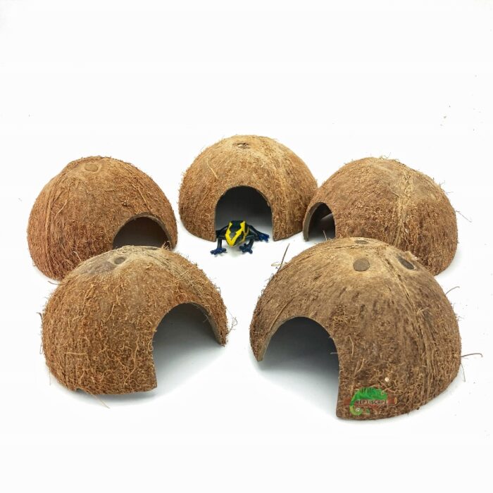 Reptiscape Half Coconut Hut - Coco Hut 5 pack for Dart Frogs