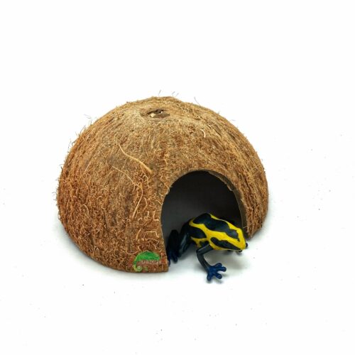 Reptiscape Half Coconut Hut - Coco Hut with Dart Frog