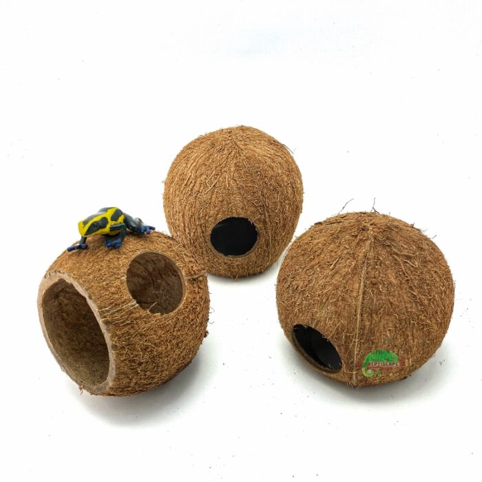 Reptiscape Three Quarters Coco Hut 3 pack side view with dart frog