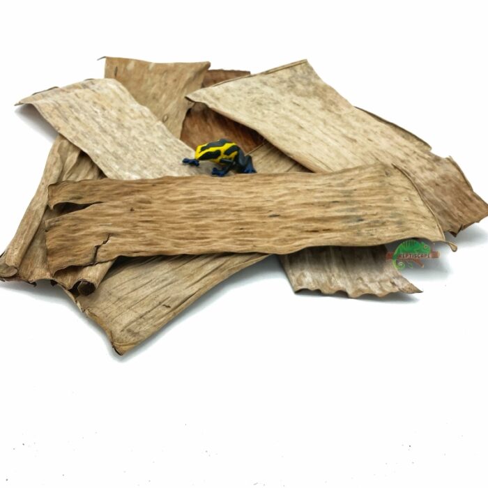 Reptiscape Banana Leaves mix pack with Dart Frog