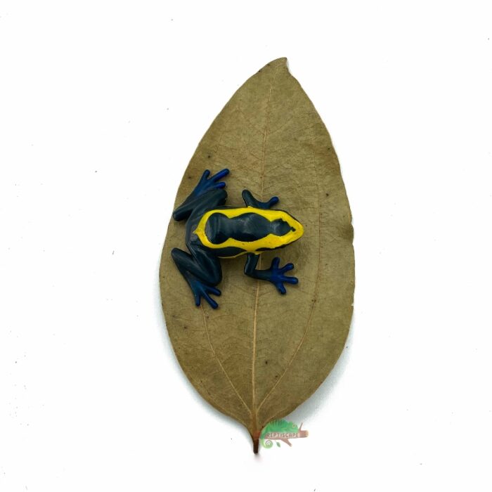 Reptiscape Cinnamon Leaf with Dart Frog