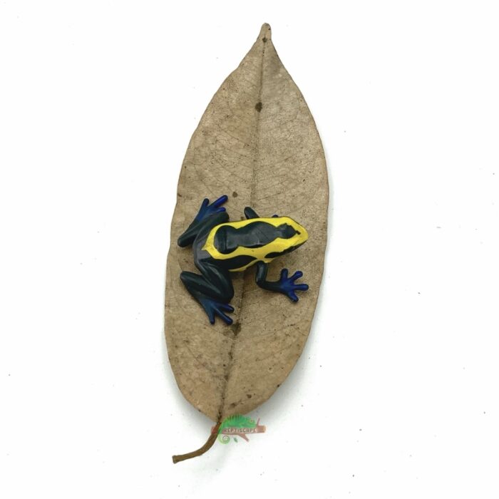 Reptiscape Durian Leaf with Dart Frog