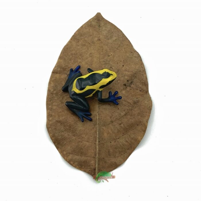 Reptiscape Jackfruit Small Leaf with dart frog 1